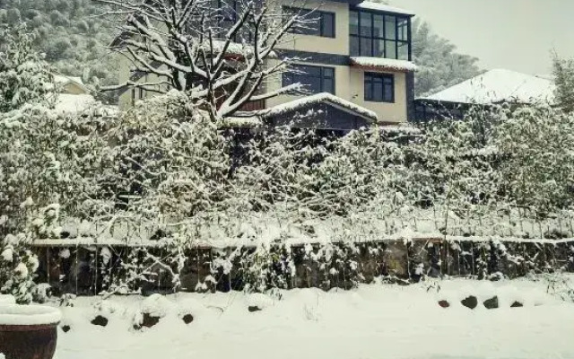 Manju Courtyard Hostel