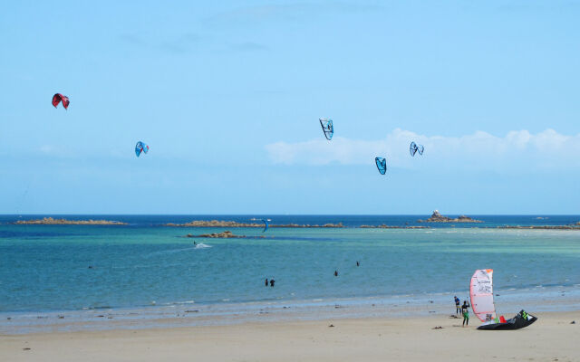 La Charmeuse (GOV203)