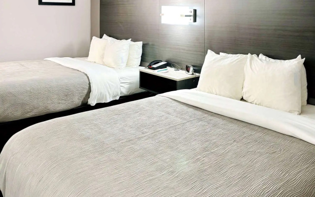 Quality Inn Raynham - Taunton