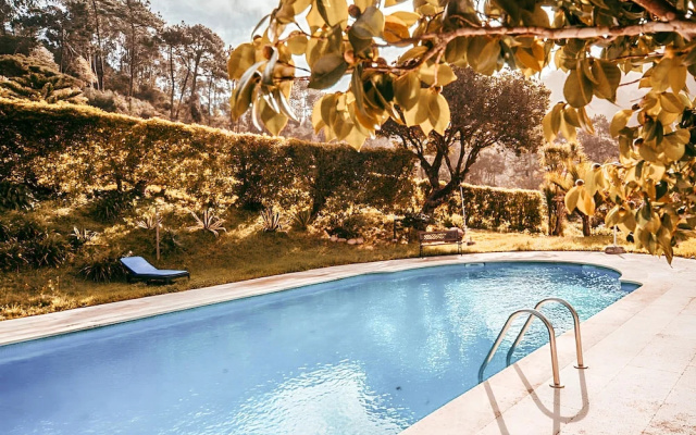 Oliveira s Houses By Gthouse