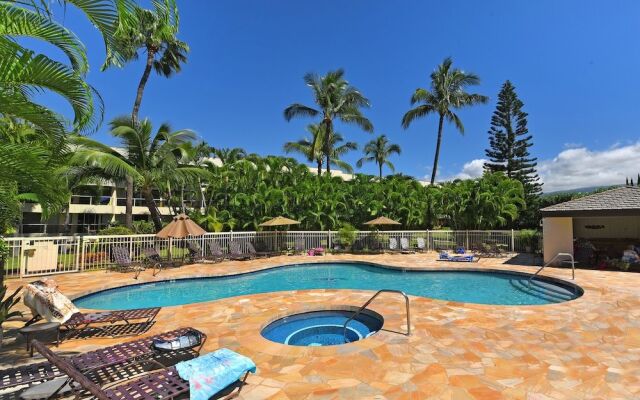 Maui Banyan Q204 by RedAwning