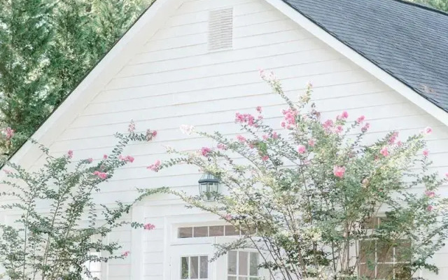 Georgia Palms & Gardens