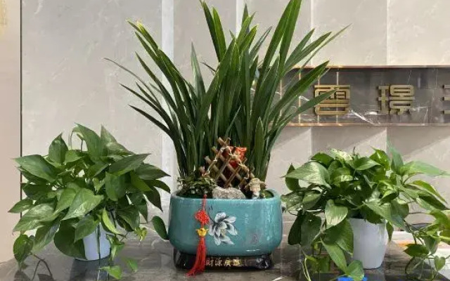 Yunjing Hotel (Luohe Shabei Dennis Convention and Exhibition Center)