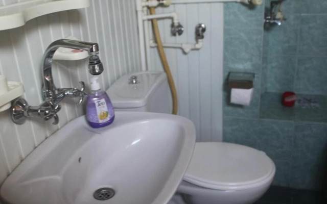 Guest House Tabidze.19