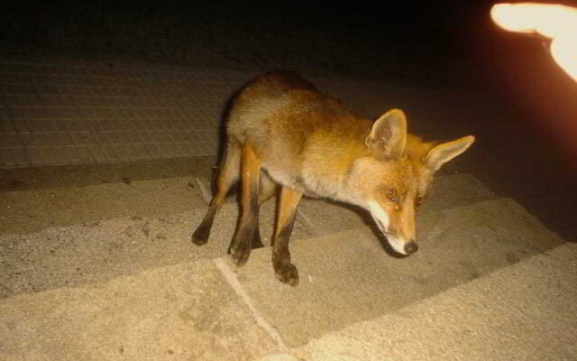 Hotel de Naturaleza Pesquería del Tambre