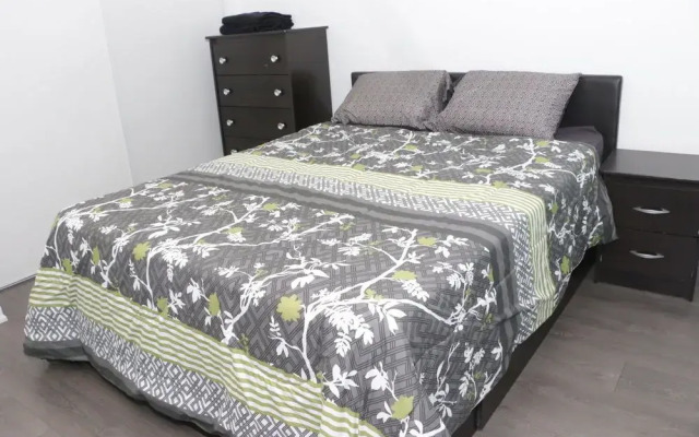 Queen West Condo