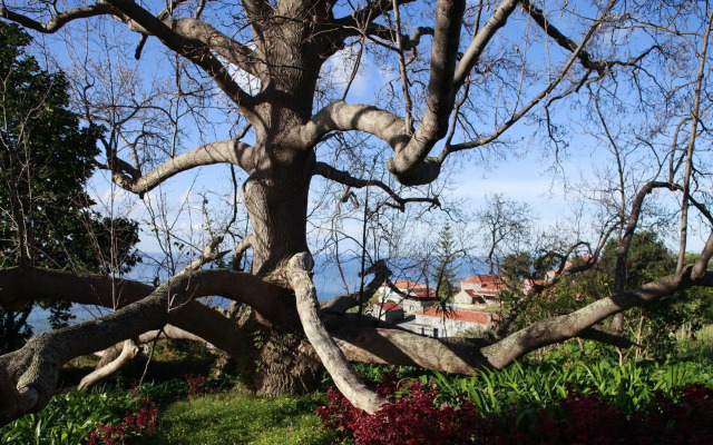 Quinta das Vinhas