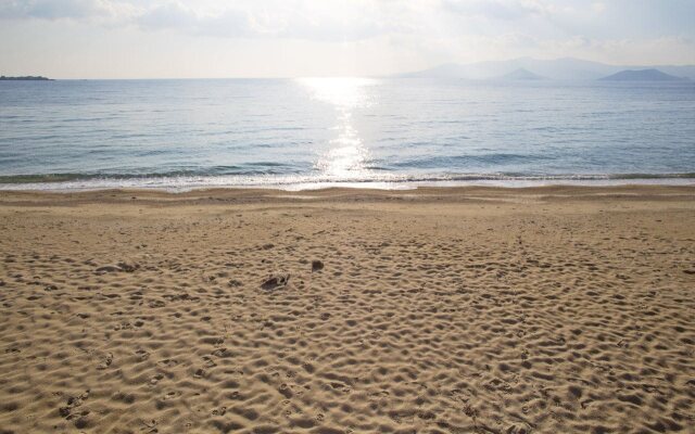 Marine Dream