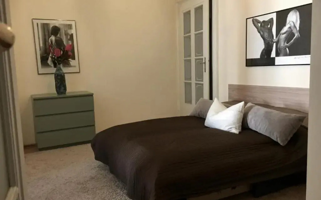 Elegant & Stylish Apartment city center