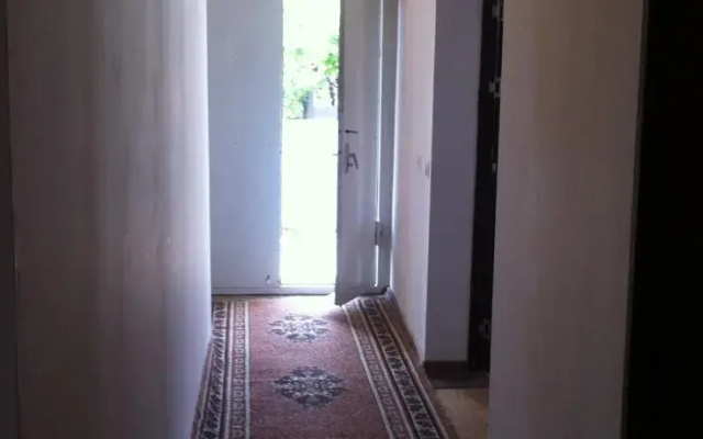 Saba Hostel