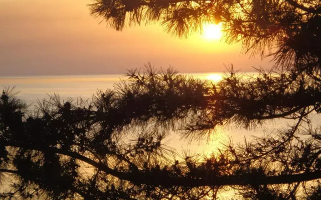 Panorama 15 Kobuleti