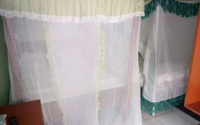 Canary Guest House
