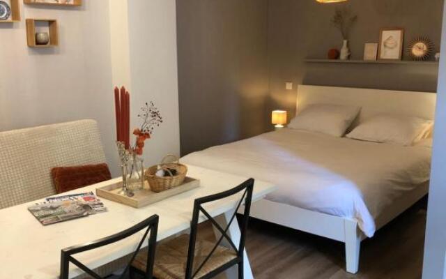 Luxe studio De Krasse Keizer - Volendam