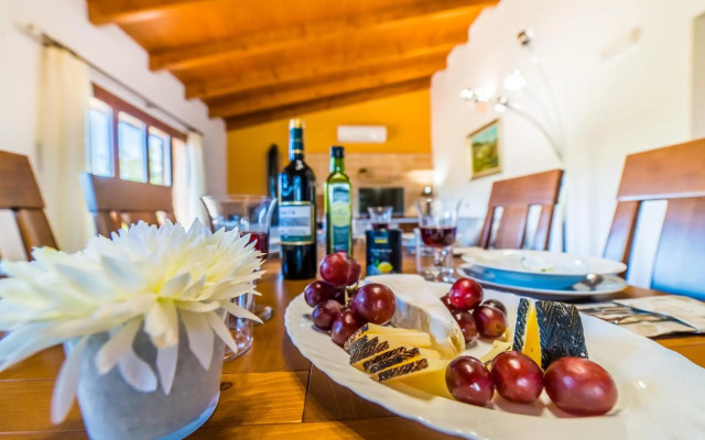 Puig d'en Guardiola ID:74768