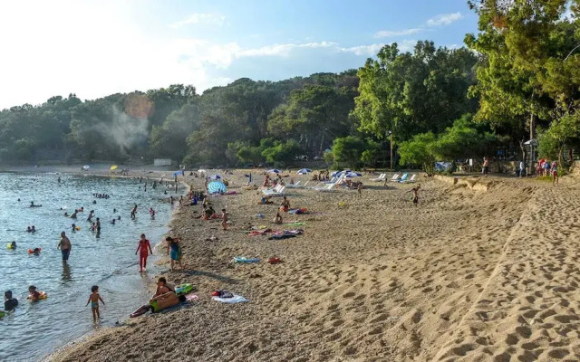 Forest Park Avsallar