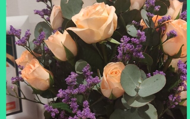 Ocean Vista Boutique Guest House