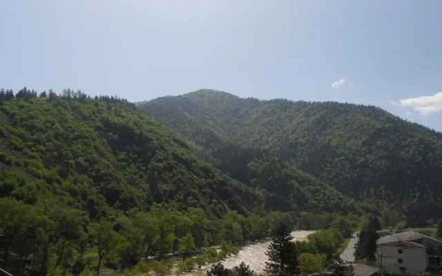 Apartment in Likani Borjomi