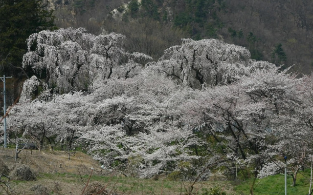 Nakaoyama Onsen Shosenkaku