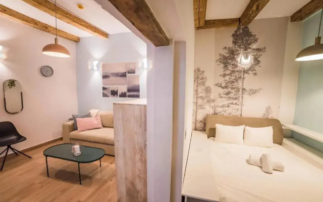 Casa Verde Brasov Flat 1