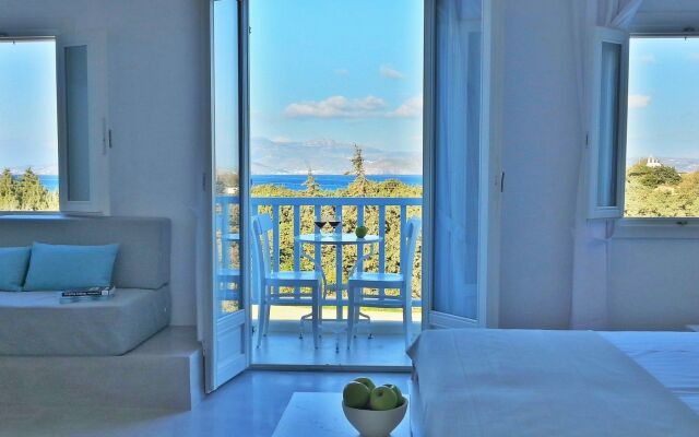 Orion Naxos Hotel