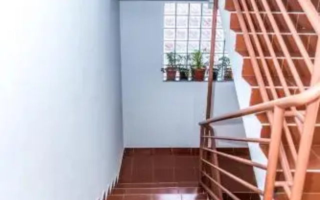 Apartment Roko