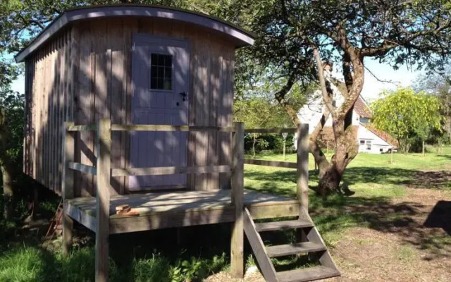 Shed and Breakfast