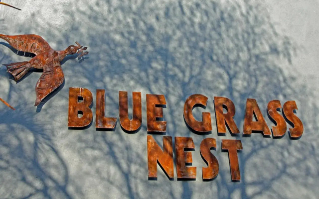 Blue Grass Nest