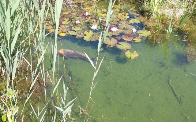 Domaine de la Louvière