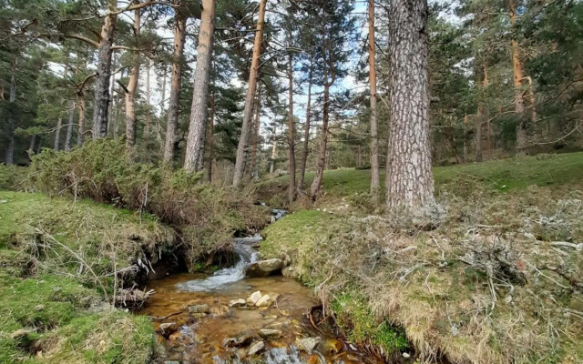 Apartamento con encanto Puerto de Navacerrada