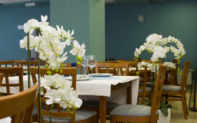 Hotel Faraon