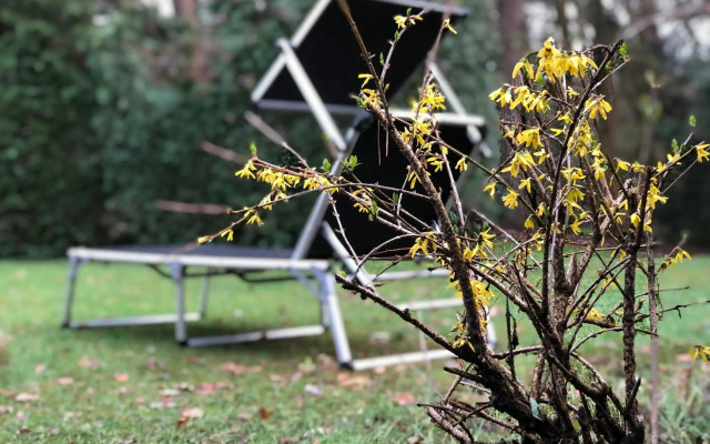 De Boswilg, heerlijk genieten midden in de natuur!