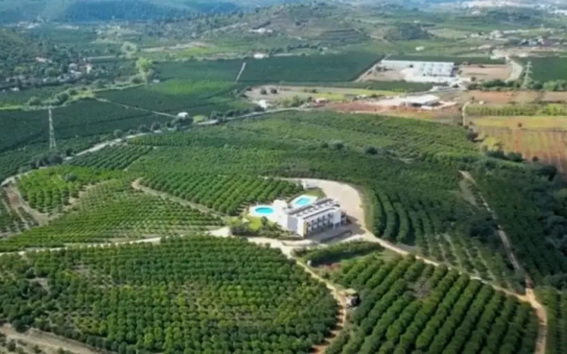 Orange Grove Residence