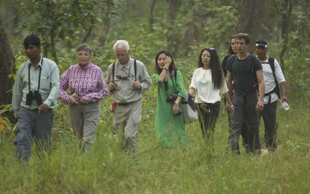 Green Mansions Jungle Resort