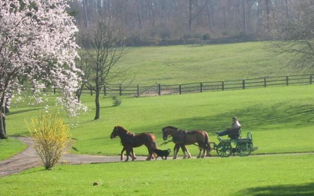 Chambres dhôtes La Verrerie du Gast