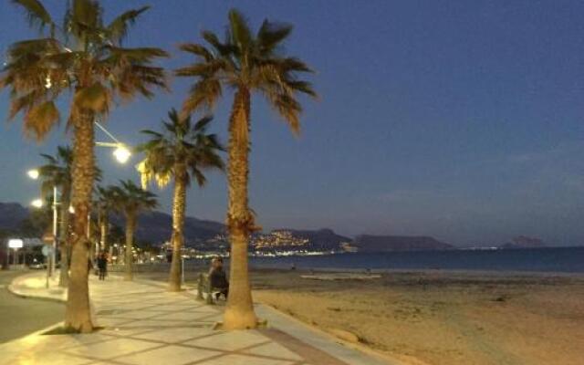 Fin Albir Playa