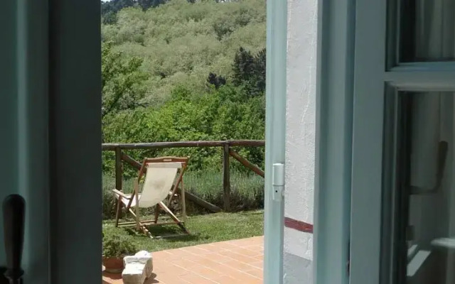 Azienda Agricola Biologica Nico