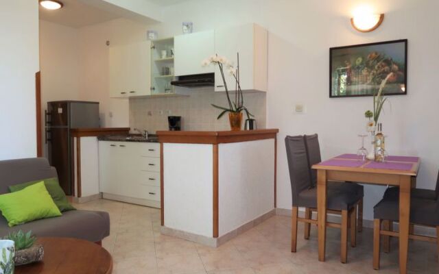 Mirjana (LBN312) 22664