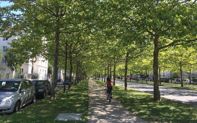 Marco Polo FT Factory