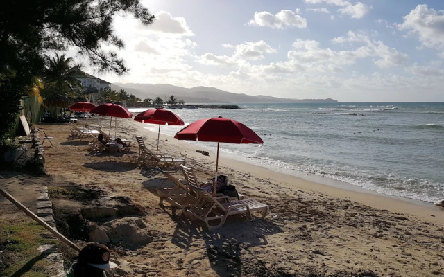 Montego Bay Palms I