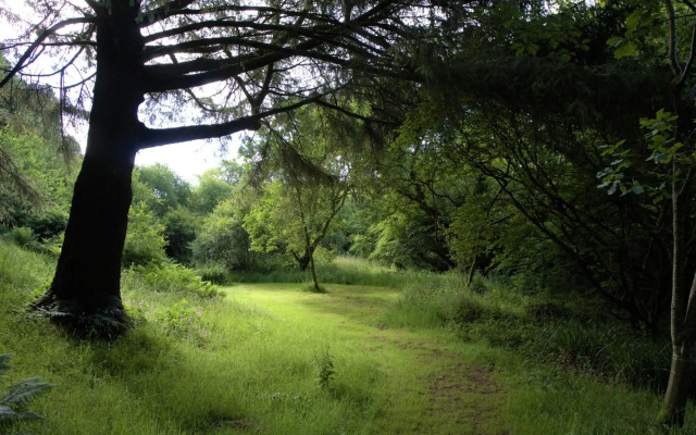 Ta Mill Holiday Cottages & Lodges - Forge Cottage