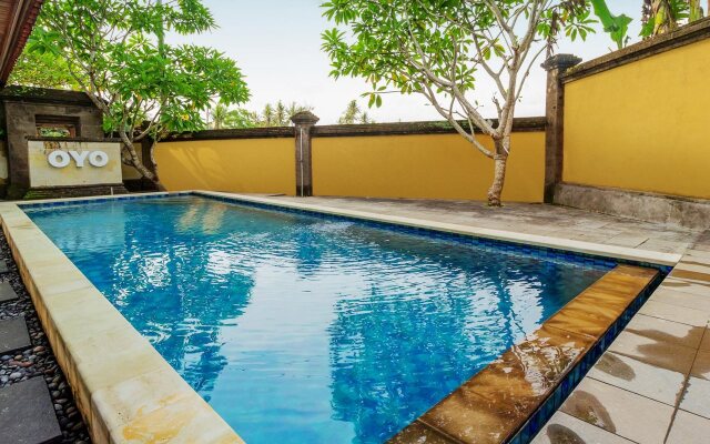 Starloka Saba Bali