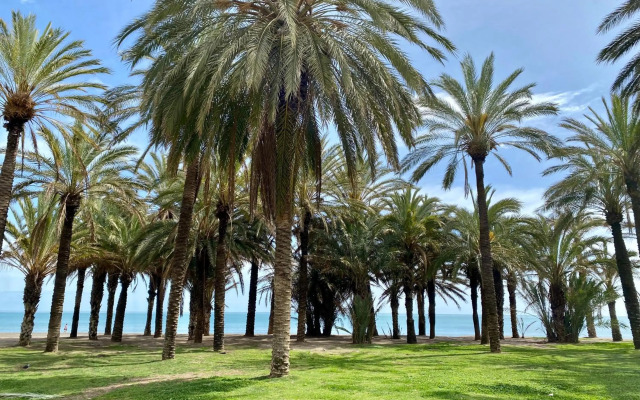 Apartamentos La Puerta Azul 5 El Bajondillo Torremolinos