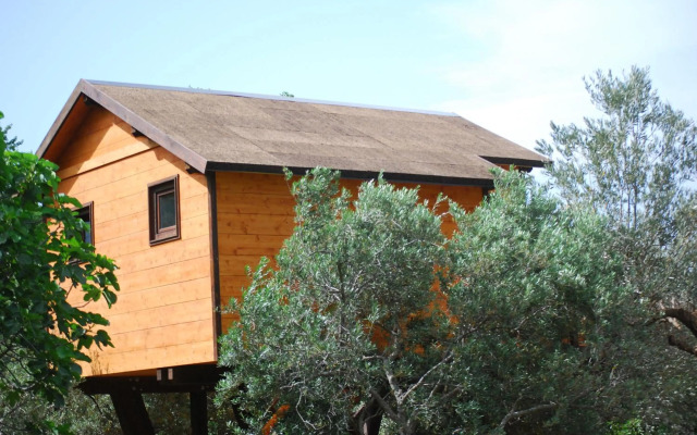 Palazzo Conforti Tree House Resort