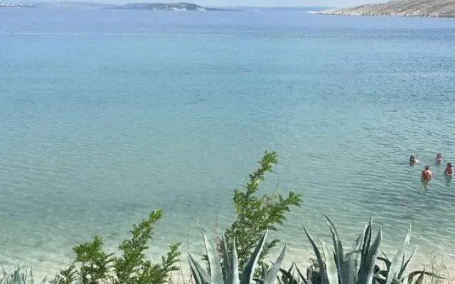 Pag Vlasici
