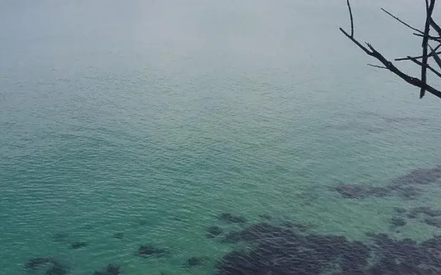 Beaches Apartments Merimbula