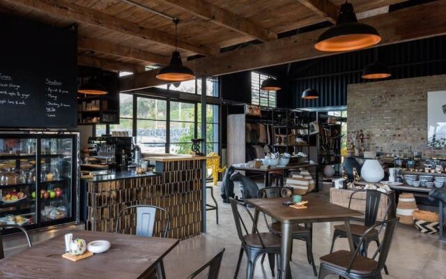 Ashia Cheetah Experience