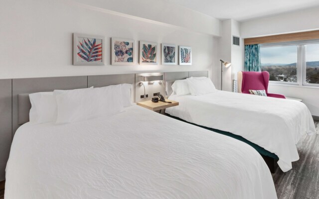 Hilton Garden Inn Ithaca