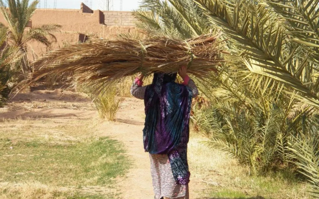 Camping Les Palmeraies