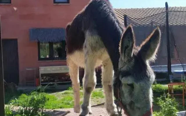 Hostal Rural Casa Pedro