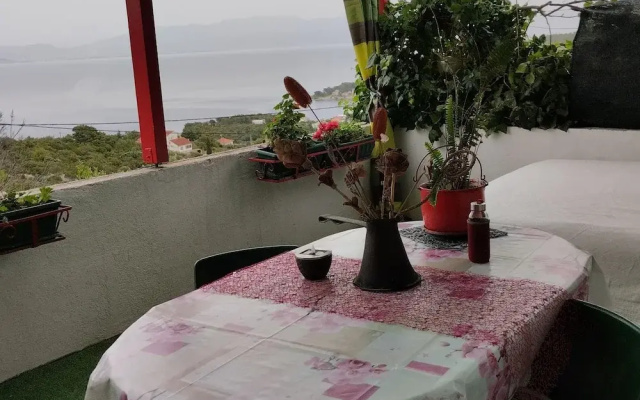 Apartment Dario Šolta